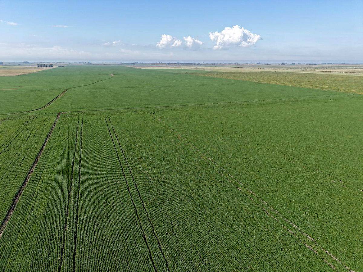 65 HA. Agrícola Optimo. Chovet (santa FE)