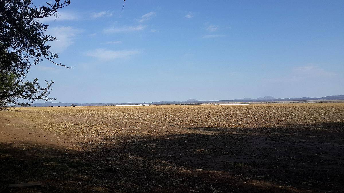Cordoba Sobre Ruta Prov N15
