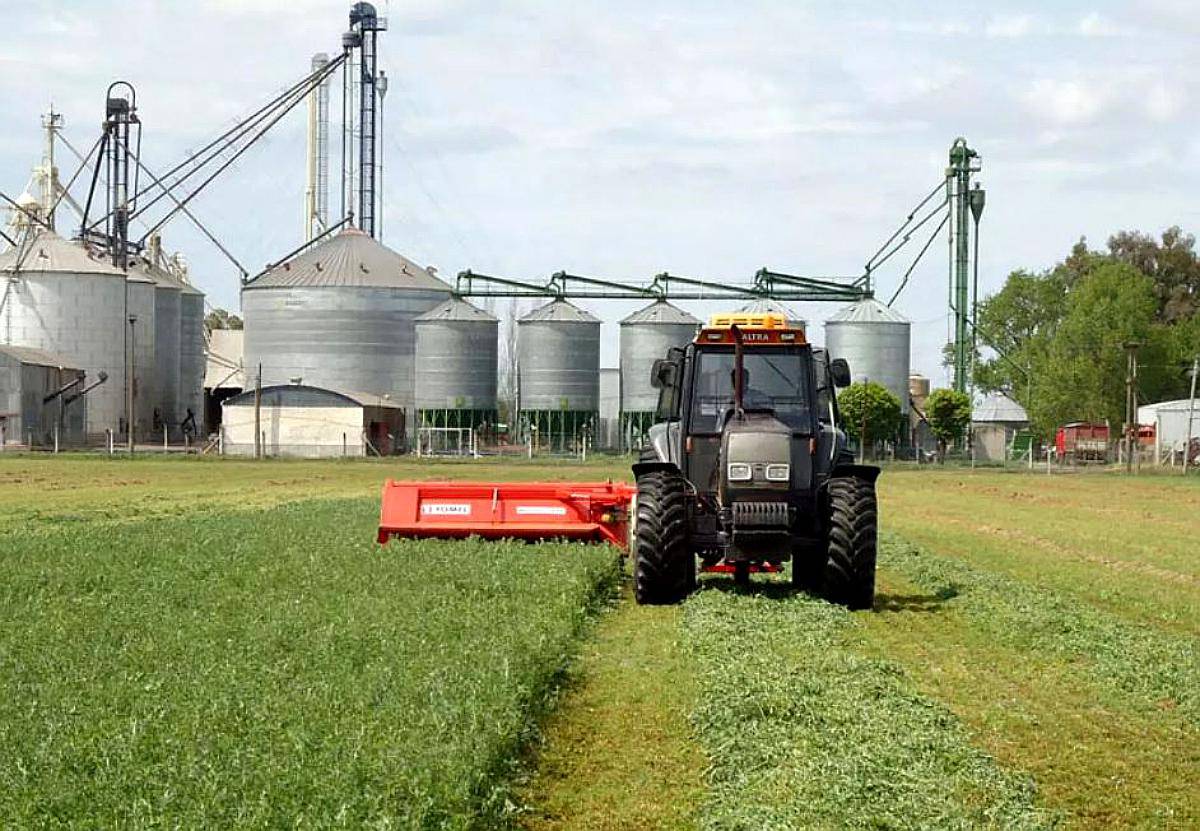 Segadora Yomel - Moscato 3070 con Acondicionador