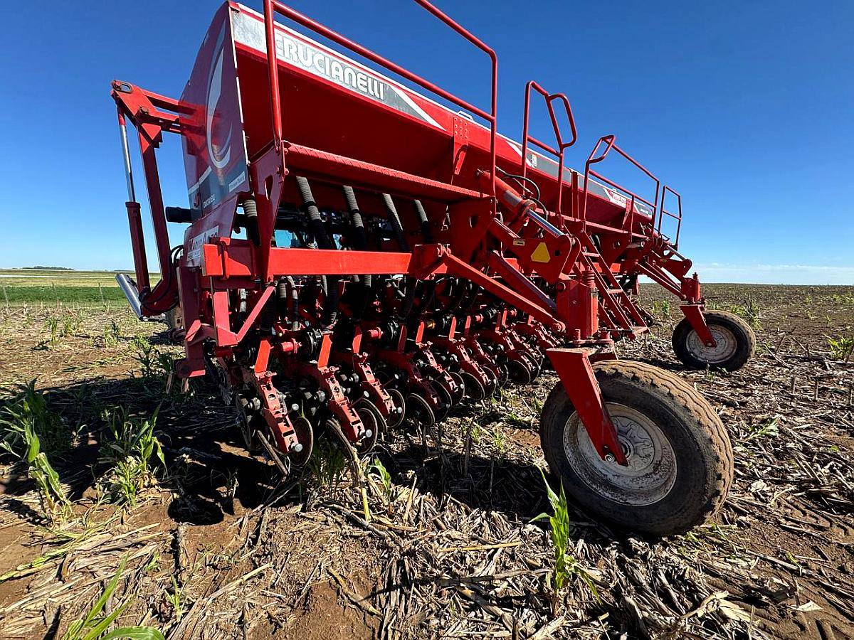 S. G. Grueso Crucianelli Gringa 7035 23 a 35 Precision Plant