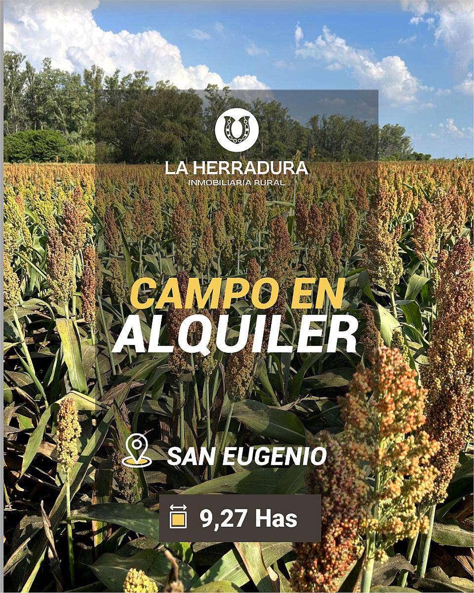 San Eugenio 9 Has Agrícolas. Suelo 1. Campo en Alquiler