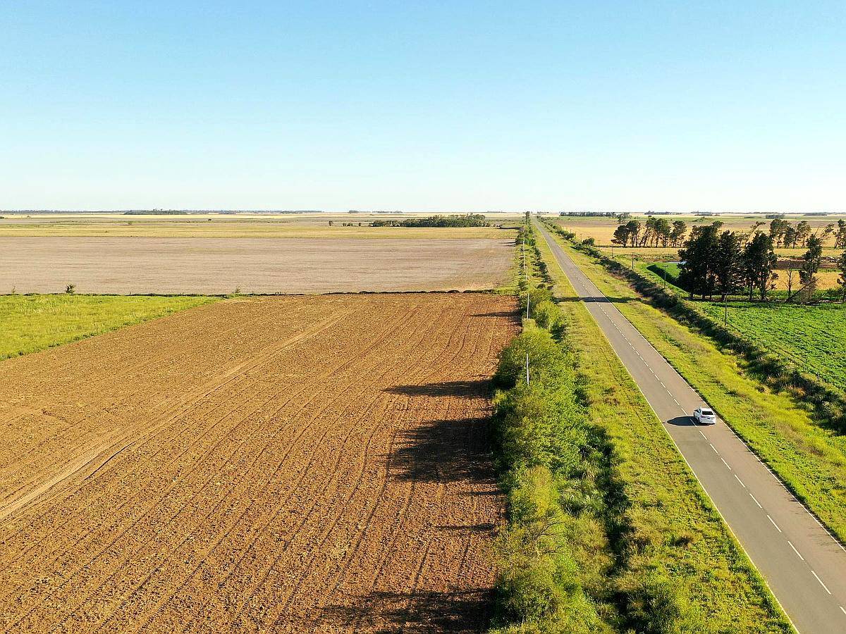 Washington, Río Cuarto, Córdoba - 11 Ha