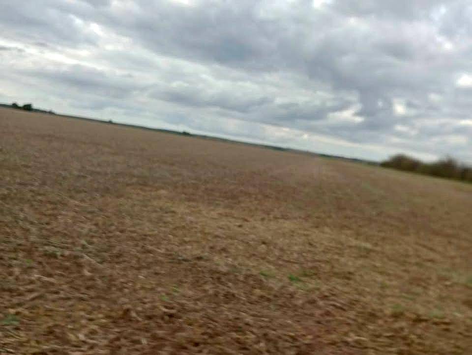 Agricola Oportunidad– Despeñaderos – Córdoba