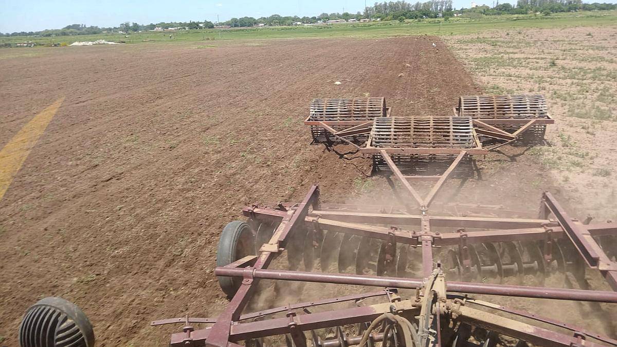 Rastra-disco Doble Acción con Rabasto, Rastras y Rolo