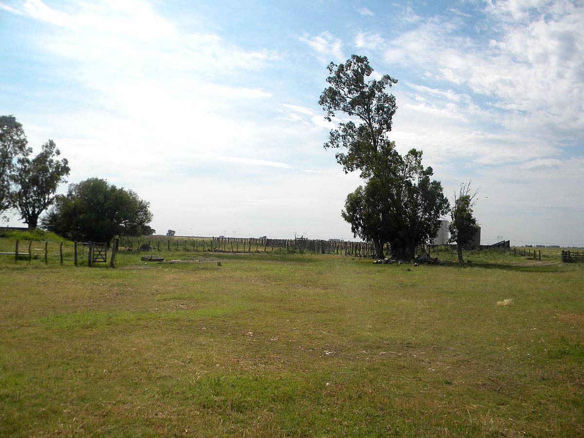 12 Ha en General Alvear MZA 40000 Dolares Sisi Leiste Bien