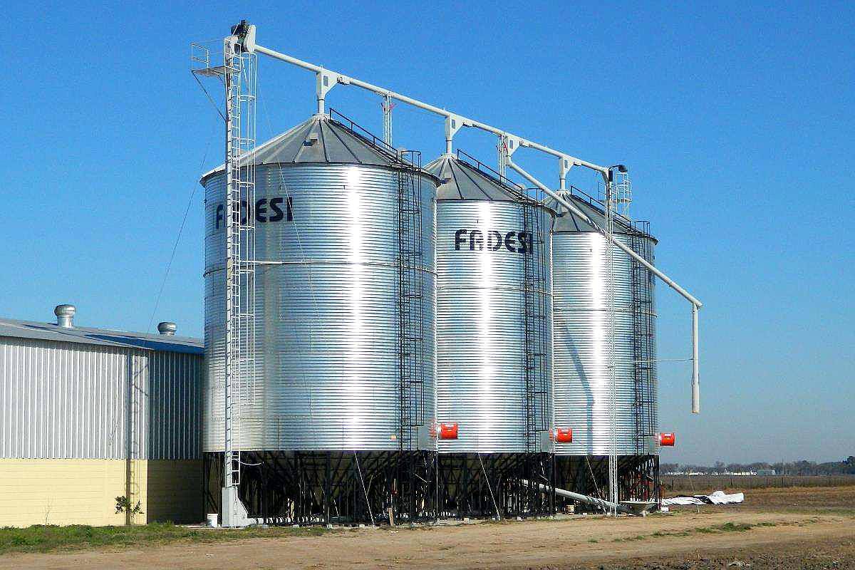 Transportador Fadesi Cereales Noria Barato Movi