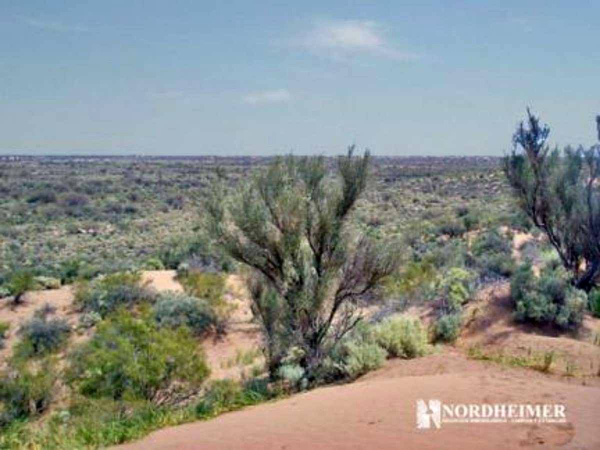 San Juan, 7000 Has - Oferta