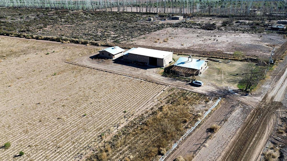 Finca Ideal para Chacra 75ha, Colonia Italia, Lavalle.