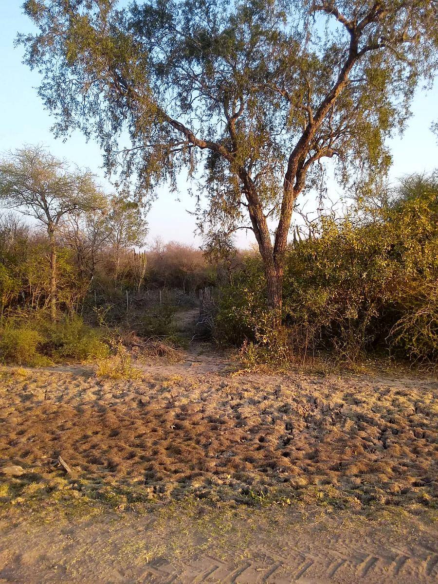 Campo Pozo del Mortero(formosa) 22k al Sur.sobre Ruta Prov.