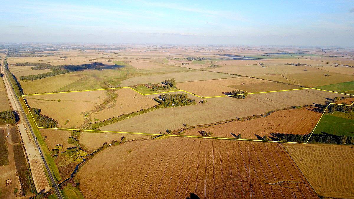 137 Has Campo Sobre Ruta 8 en Capital Sarmiento