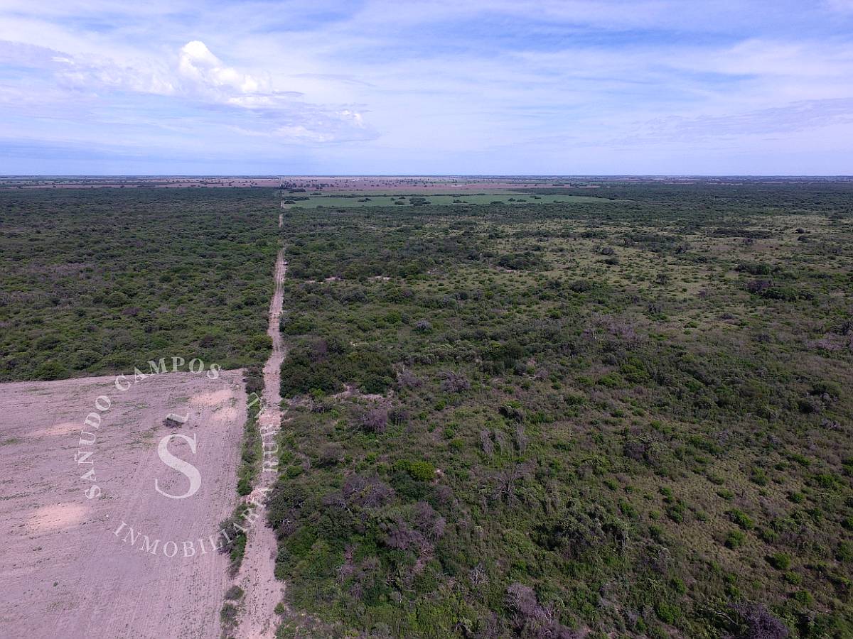 Venta Campo Mixto. Tostado, Santa FE. 425 Hectáreas.