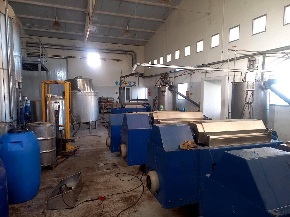 Fabrica Aceite de Oliva Línea Completa