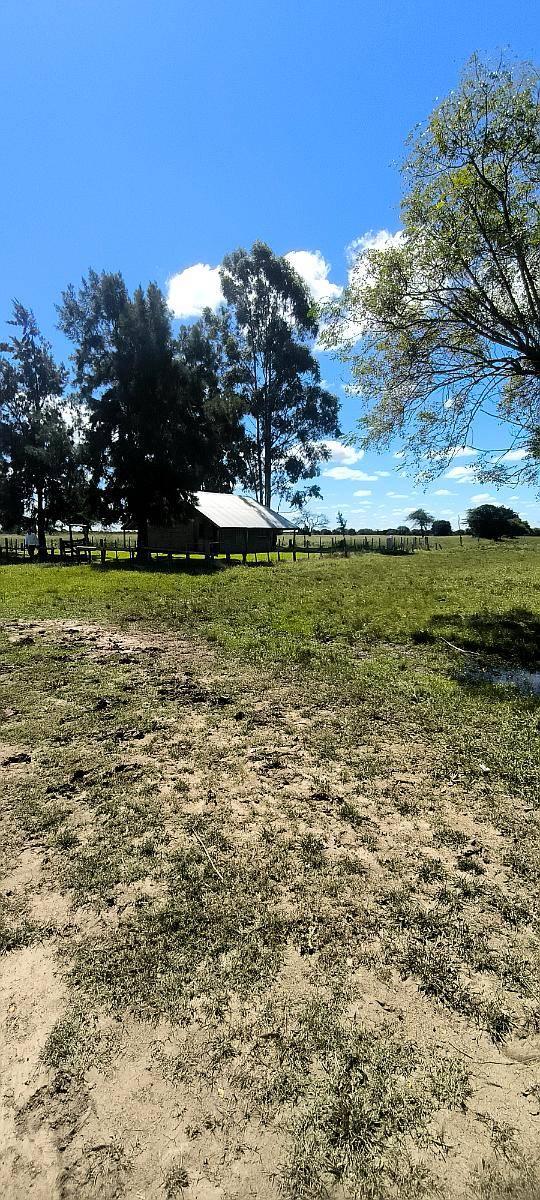 Campo Ganadero con Mejoras en Chajari