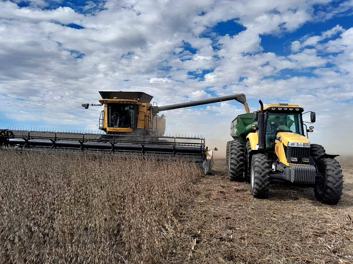 Cosechadora Challenger 520c 2024