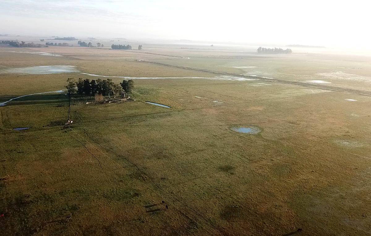 300 Ha Ganaderas Labardén, Pdo. Gral. Guido, Pcia. BS. AS.