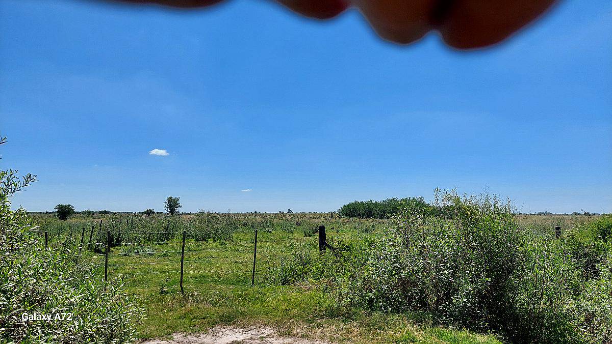 Se Venden 290 Ha a 5 km al SUR de la Feria Vieja de Capivar