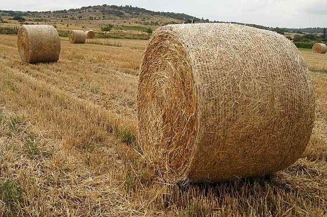 300 Ha Campo Agricola con Instalaciones.