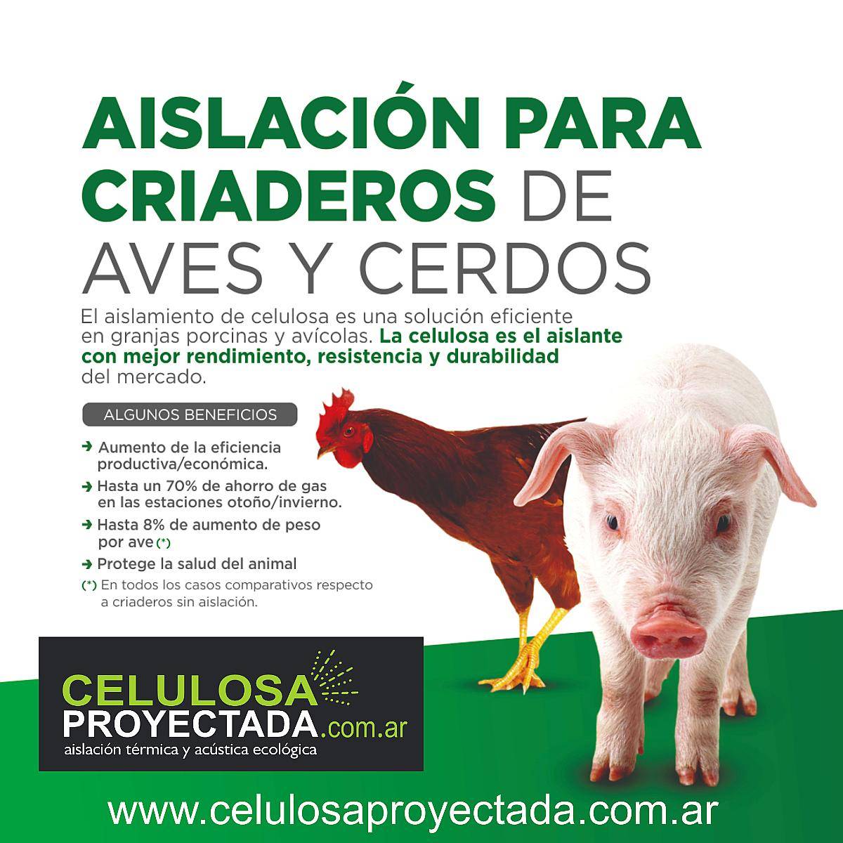 Celulosa Proyectada Aislación Térmica