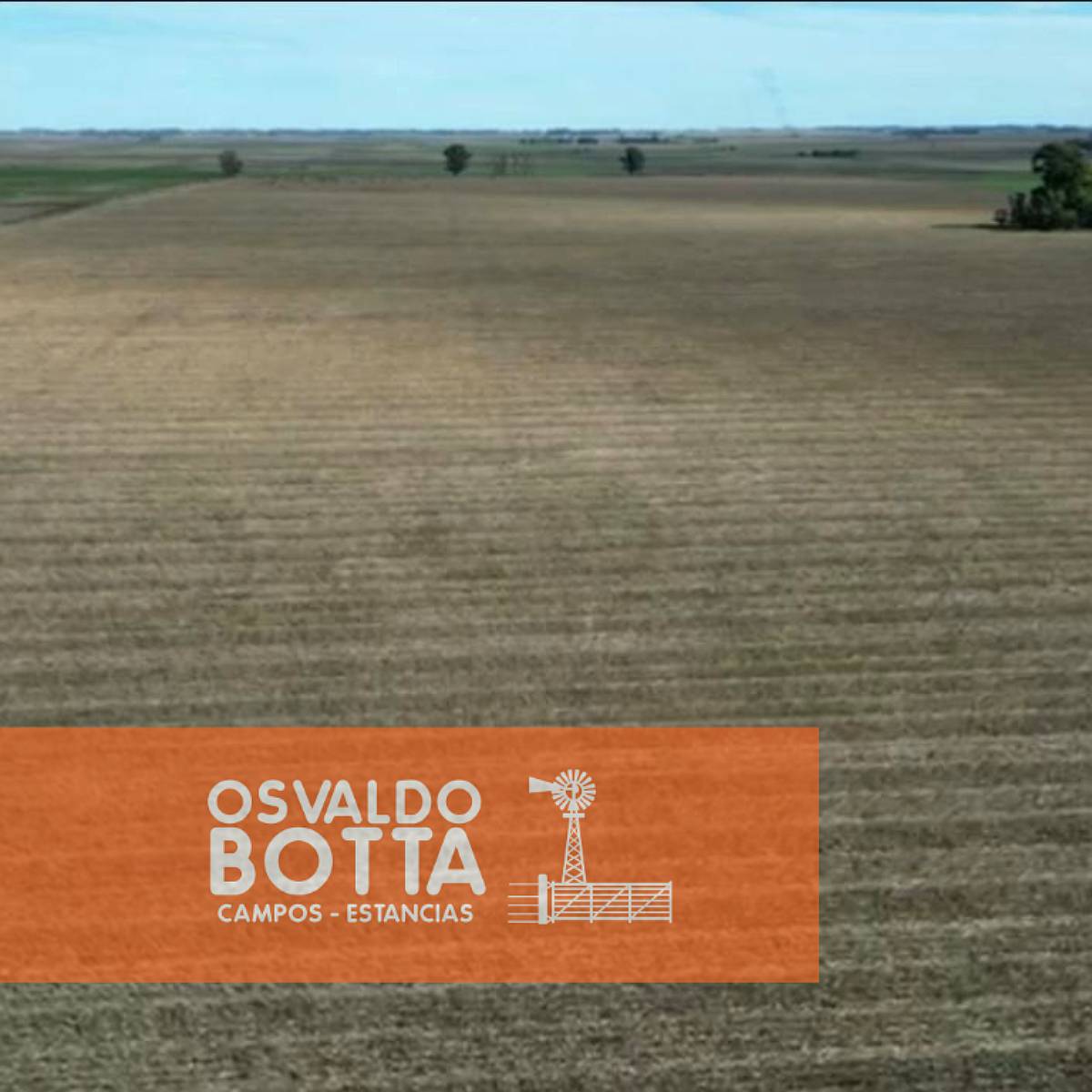 Campo Agricola en Venta 200 Hectareas Chacabuco