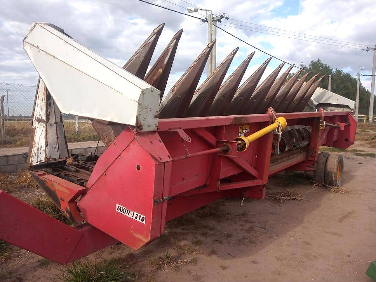 Maicero Maizco de 13 S. MX Lll.