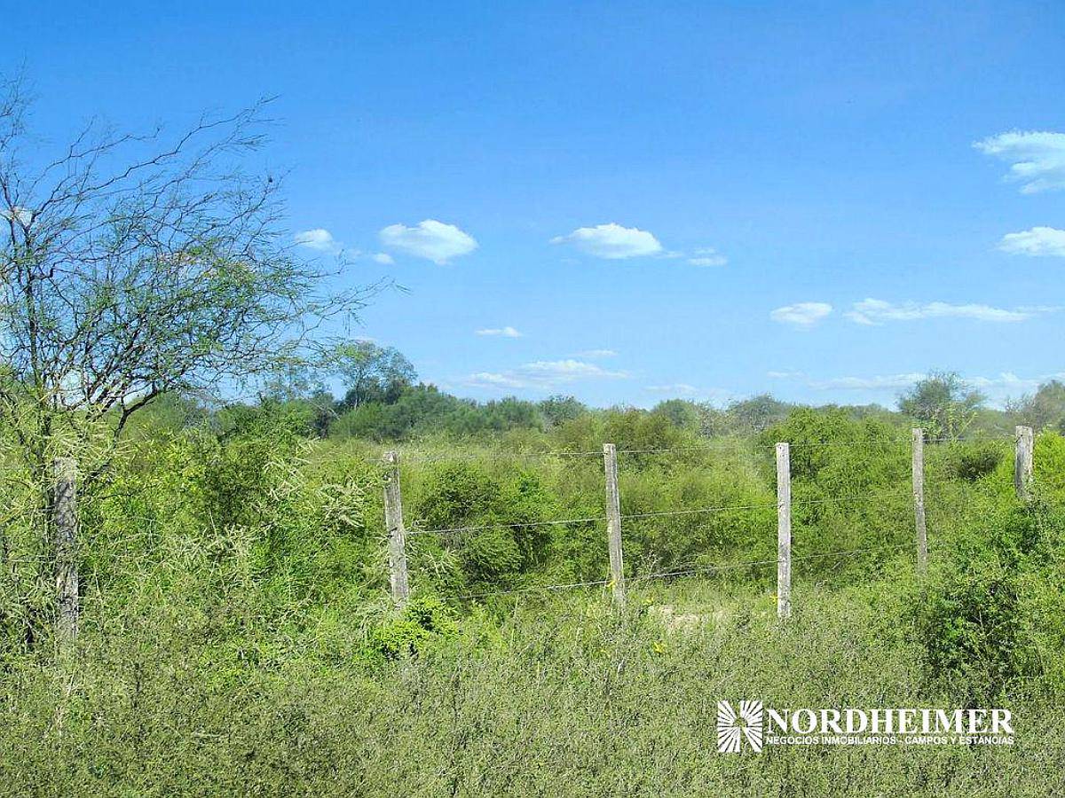 Garza, Sarmiento, Santiago del Estero, Argentina