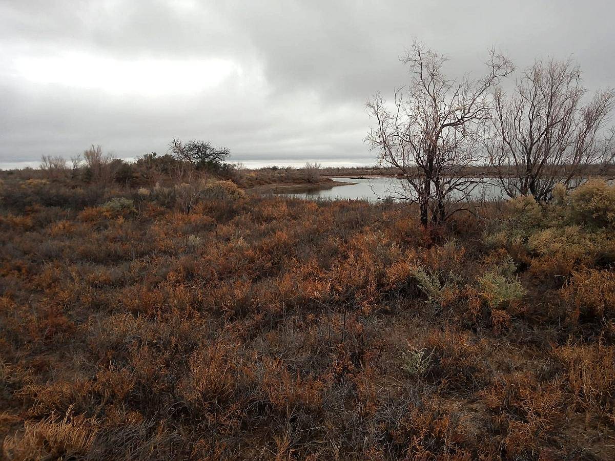 Campo Apto Coto de Caza