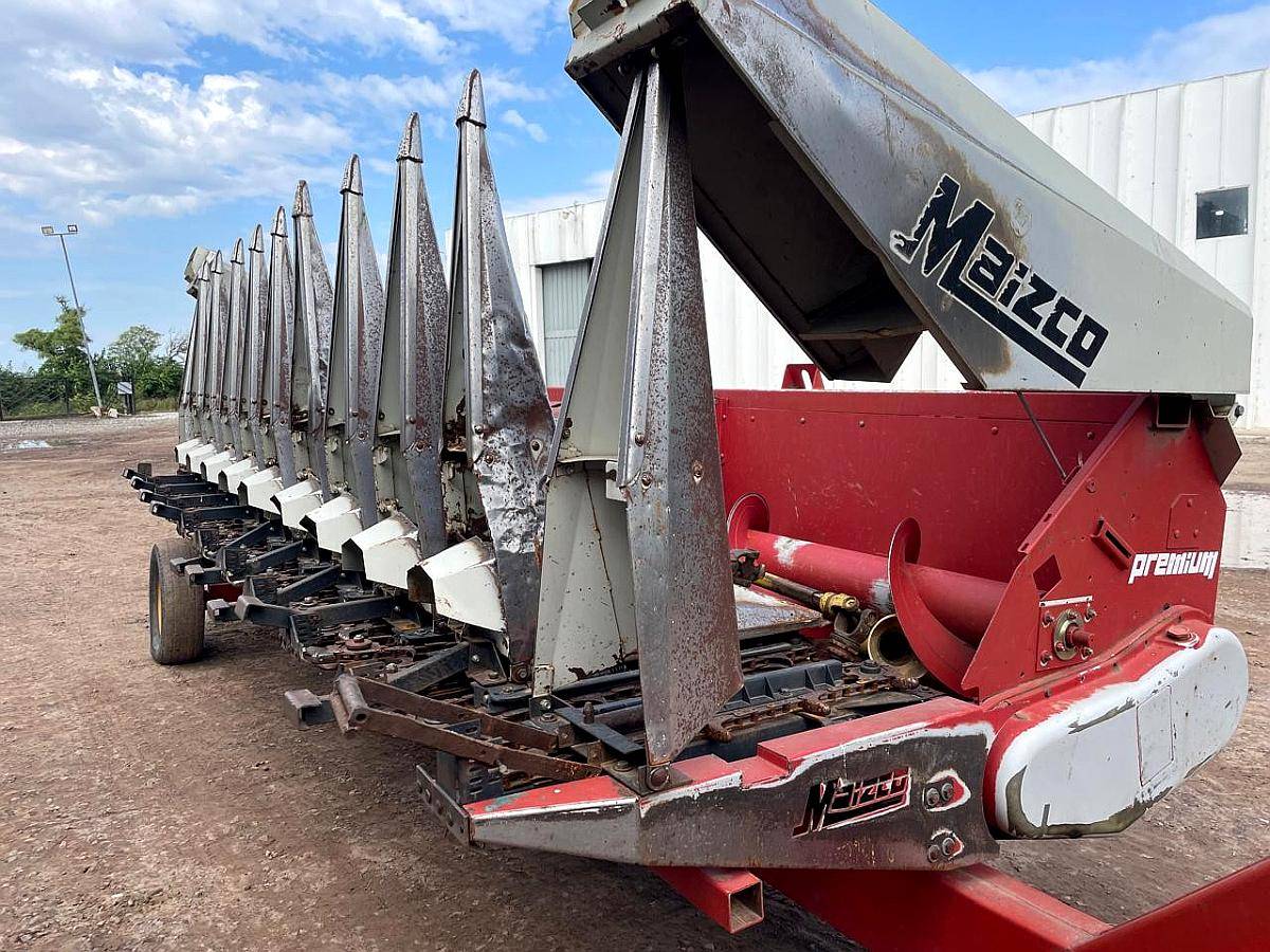 Maicero Maizco - año 2009