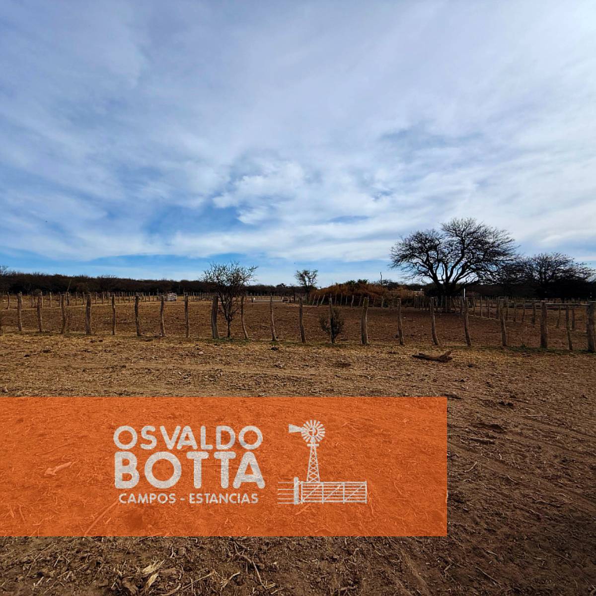 Campo Ganadero – 6.200has – Rucanelo, la Pampa