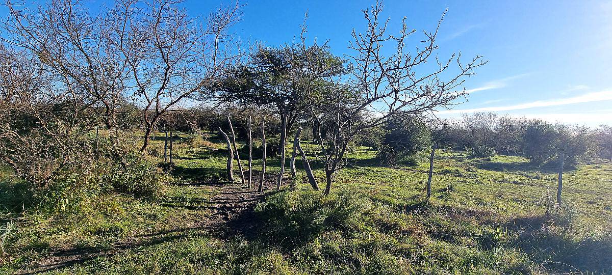 Vendo Campo Ganadero en San Jose de Feliciano