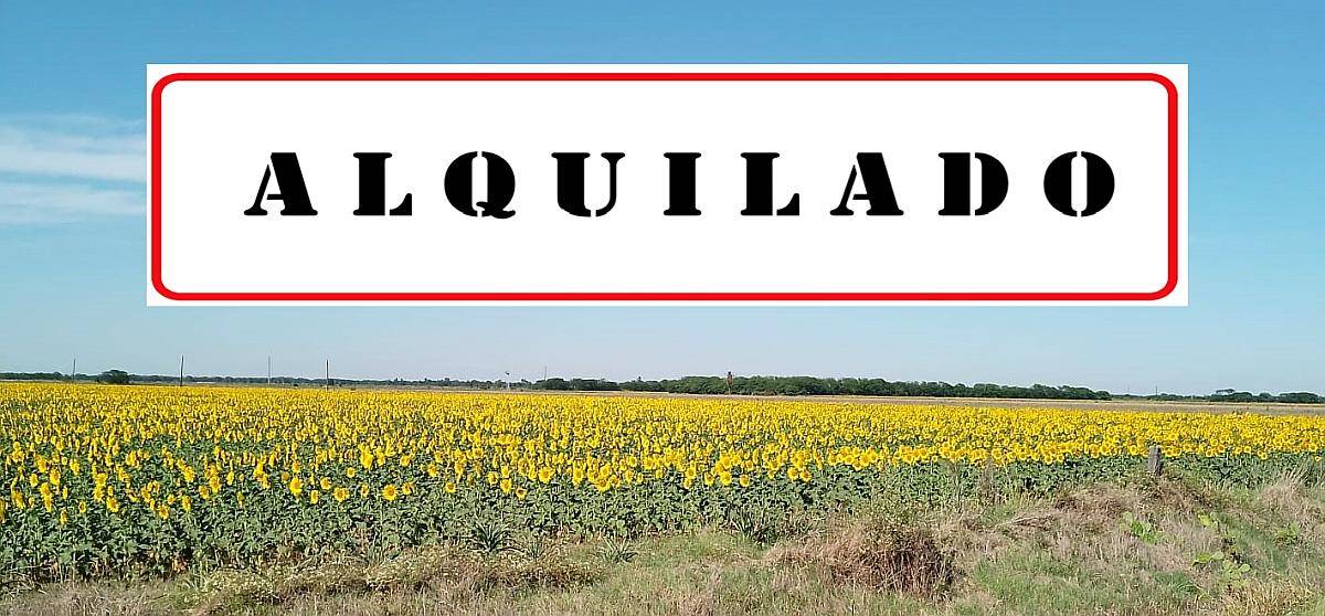 Alquilado Campo 64 Ha en San Mariano, Santa FE