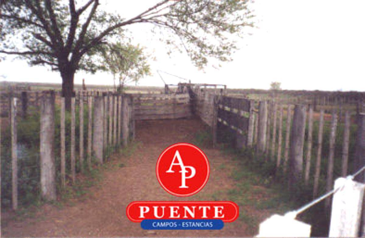 En Venta 10.000 Has Lihuel Calel la Pampa.-
