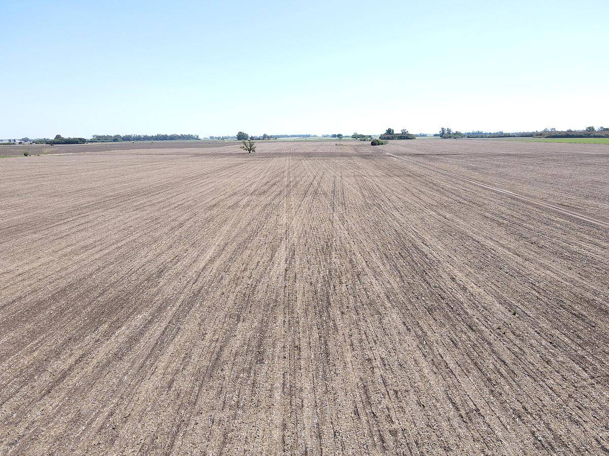 Ba3679 Venta 64 HA. Agricola Capitan Sarmiento Buenos Aires