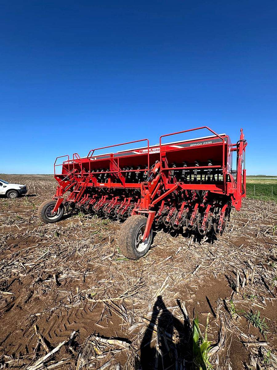 Semb G Grueso Crucianelli Gringa 7035 23 a 35