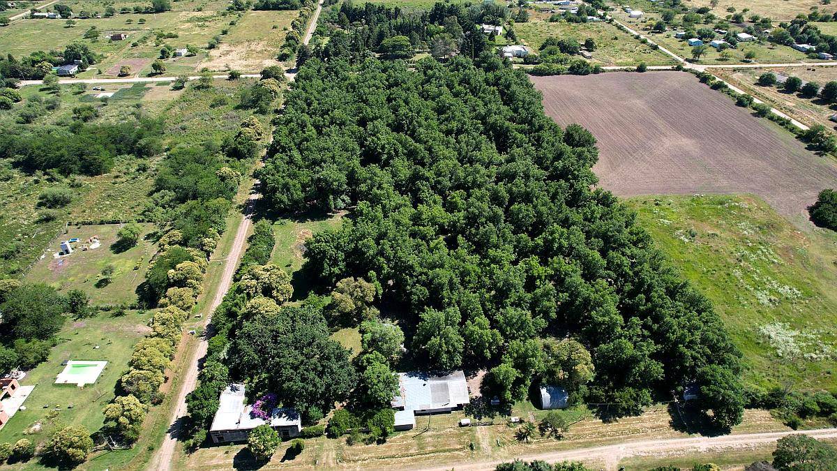 Gualeguay, Entre Ríos - 3,9 Ha