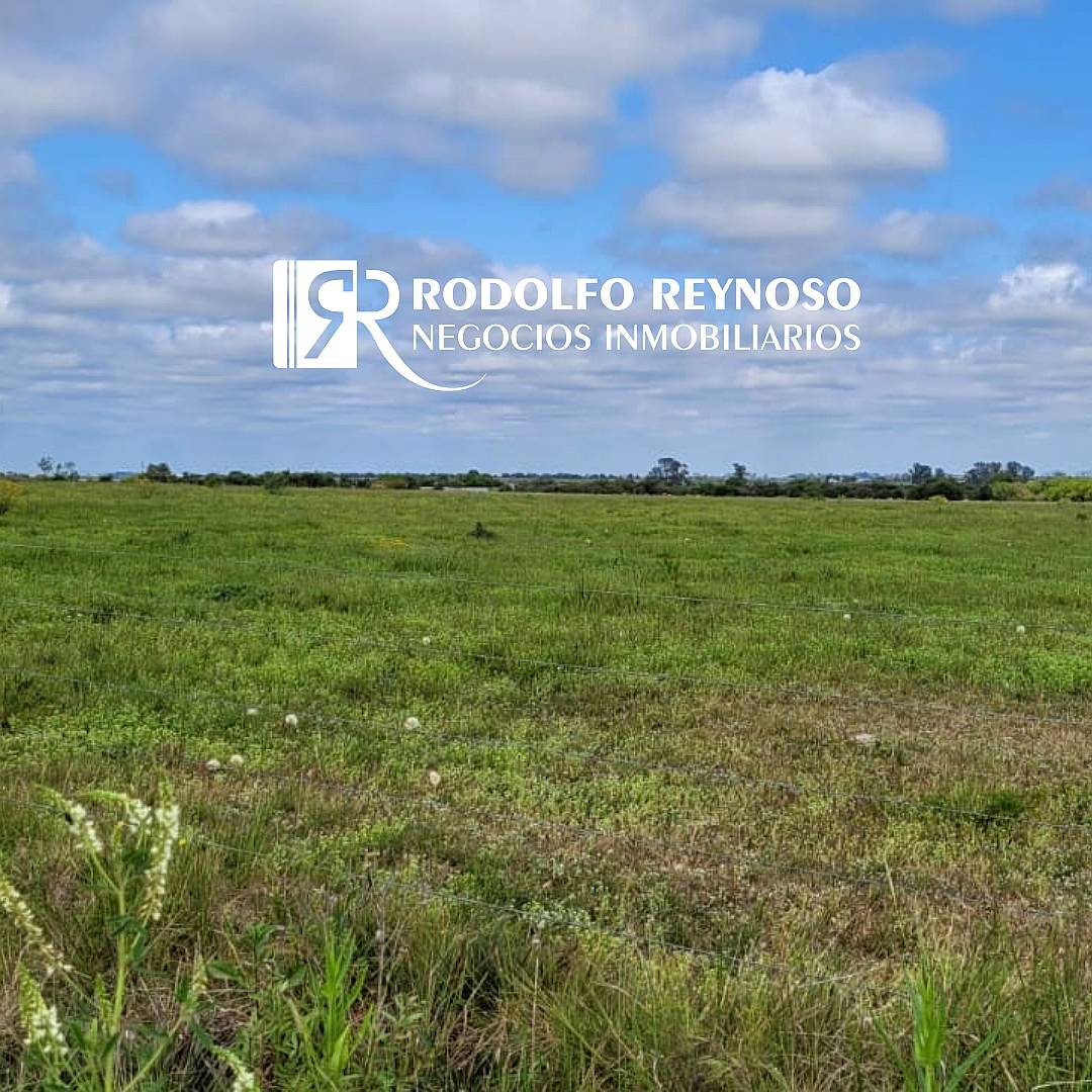 Lote de 1.14 Hectárea – Dpto. Colón (er)