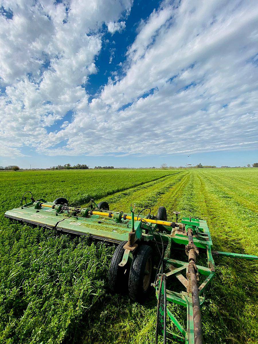 Cortadora Hiladora Eisen 4.2mts