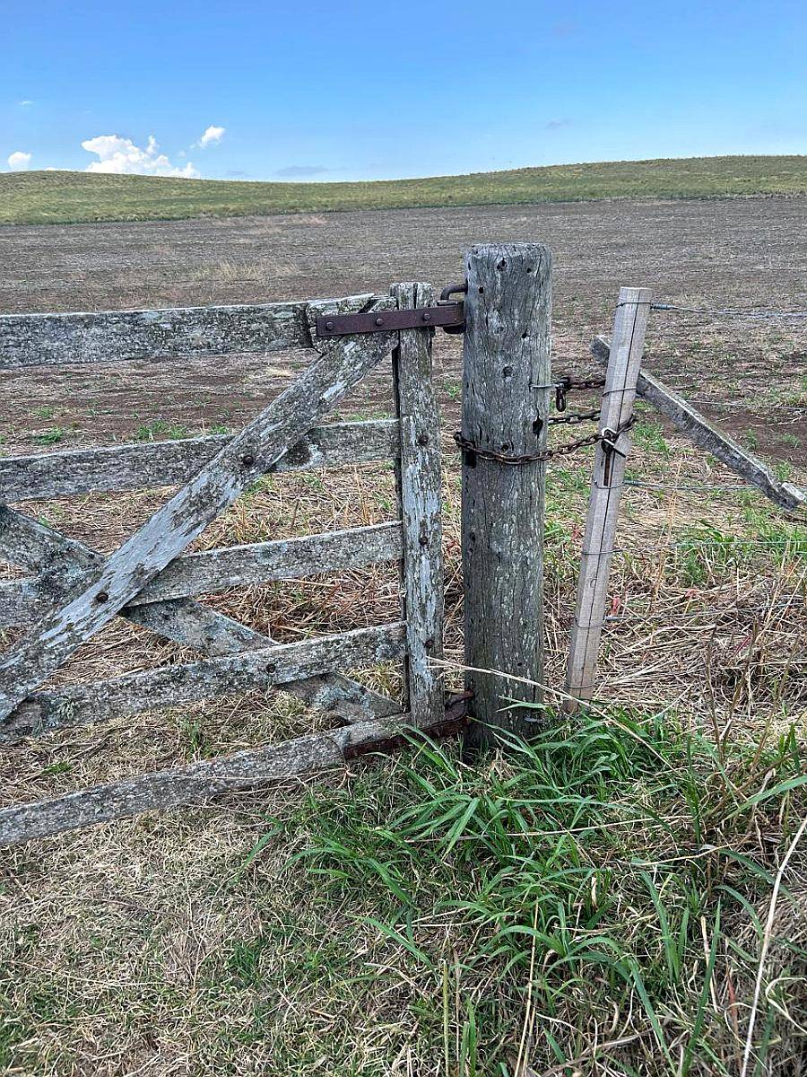 La Esquina (san Luis) 300 Has Agricolas