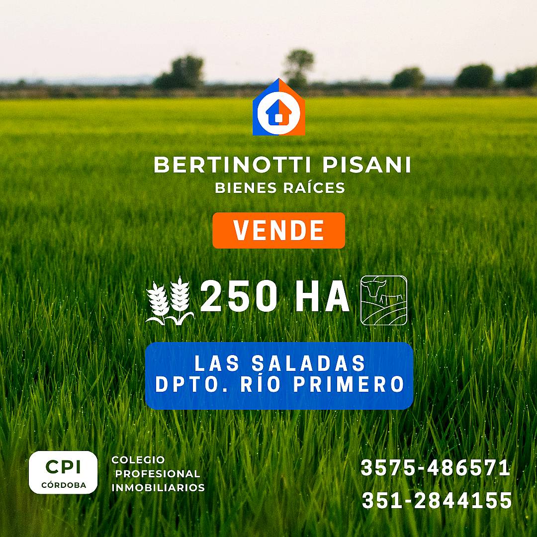 250ha. en las Saladas