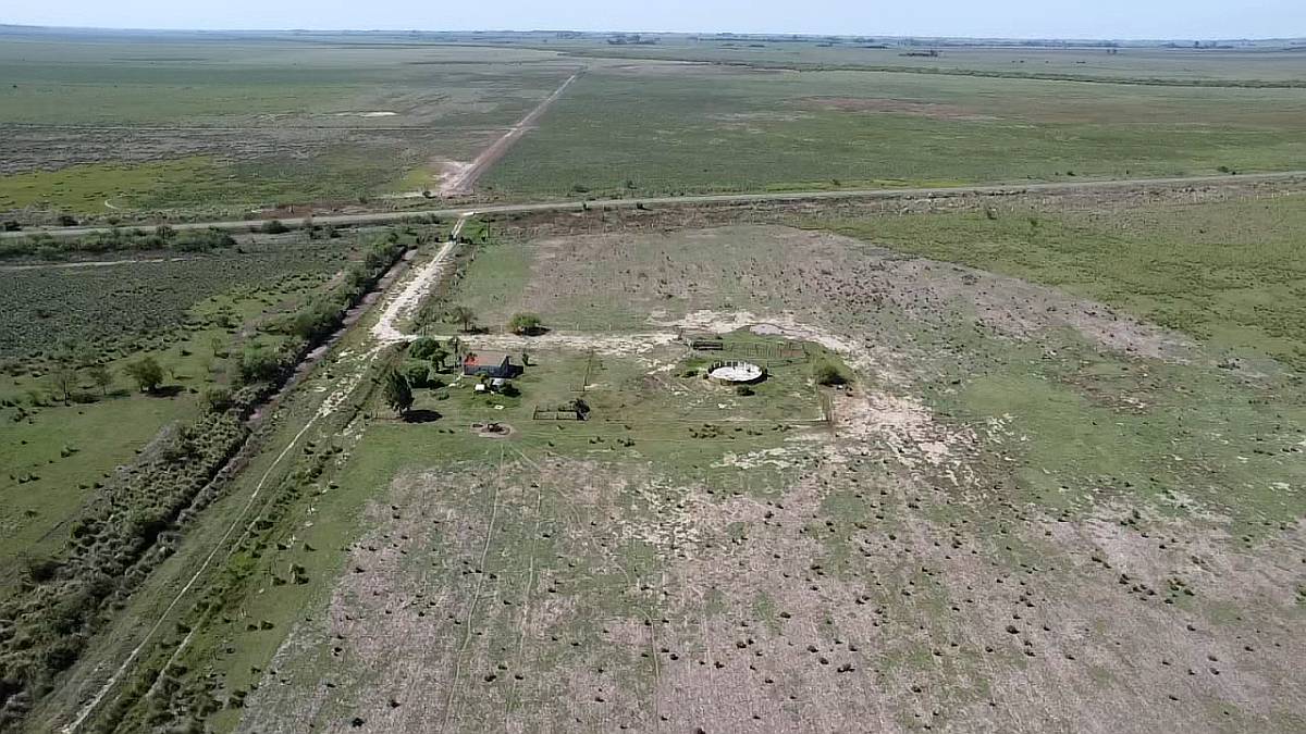 Venta 424 Has Ganaderas en San Genaro. Sobre Ruta Nº65.