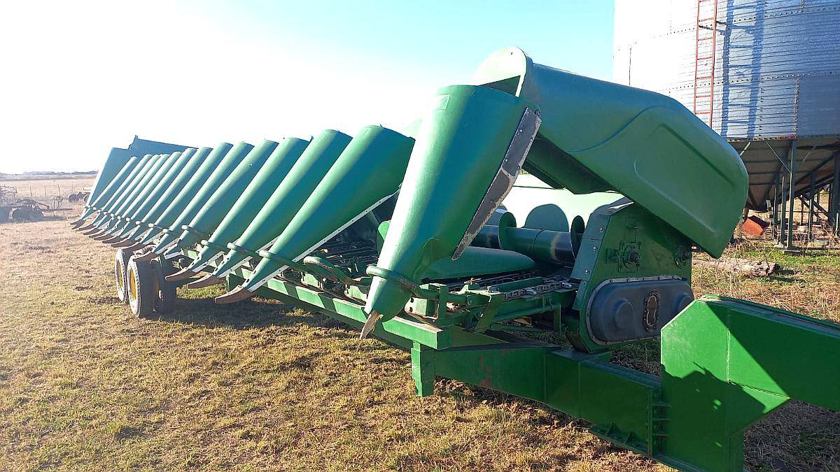 Ombú Maicero, Excelente Estado