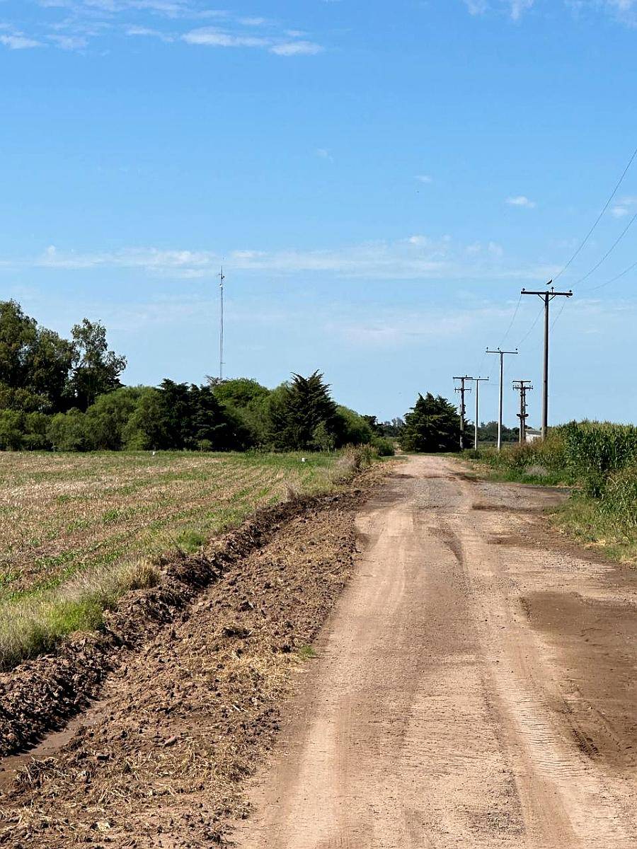 Campo Agricola 380 Hectáreas Rntre Rios