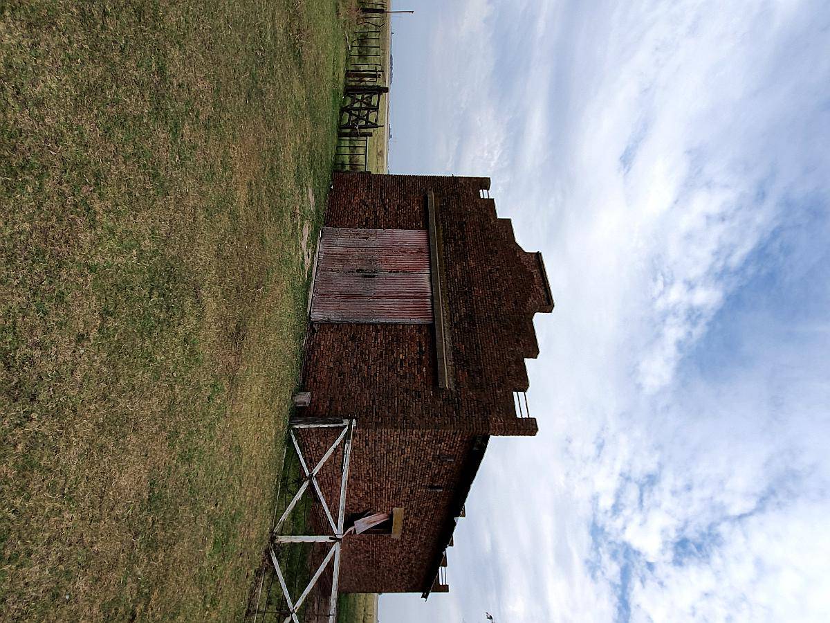 880 Has Sobre Ruta 51 Ganaderas