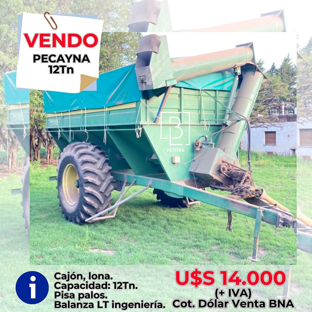 Autodescargable Pecayna 12 TN
