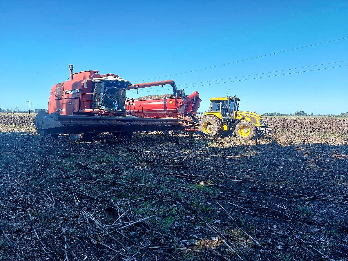 Servicios de Fertilización.siembra.fumigacion y Cosecha