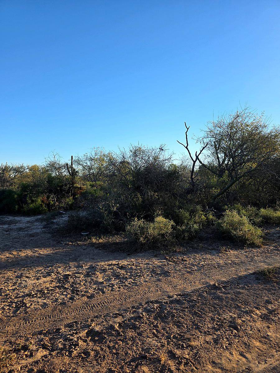 Vendo Campo en Lugones S/ Ruta 34 SGO del Estero 947 Has