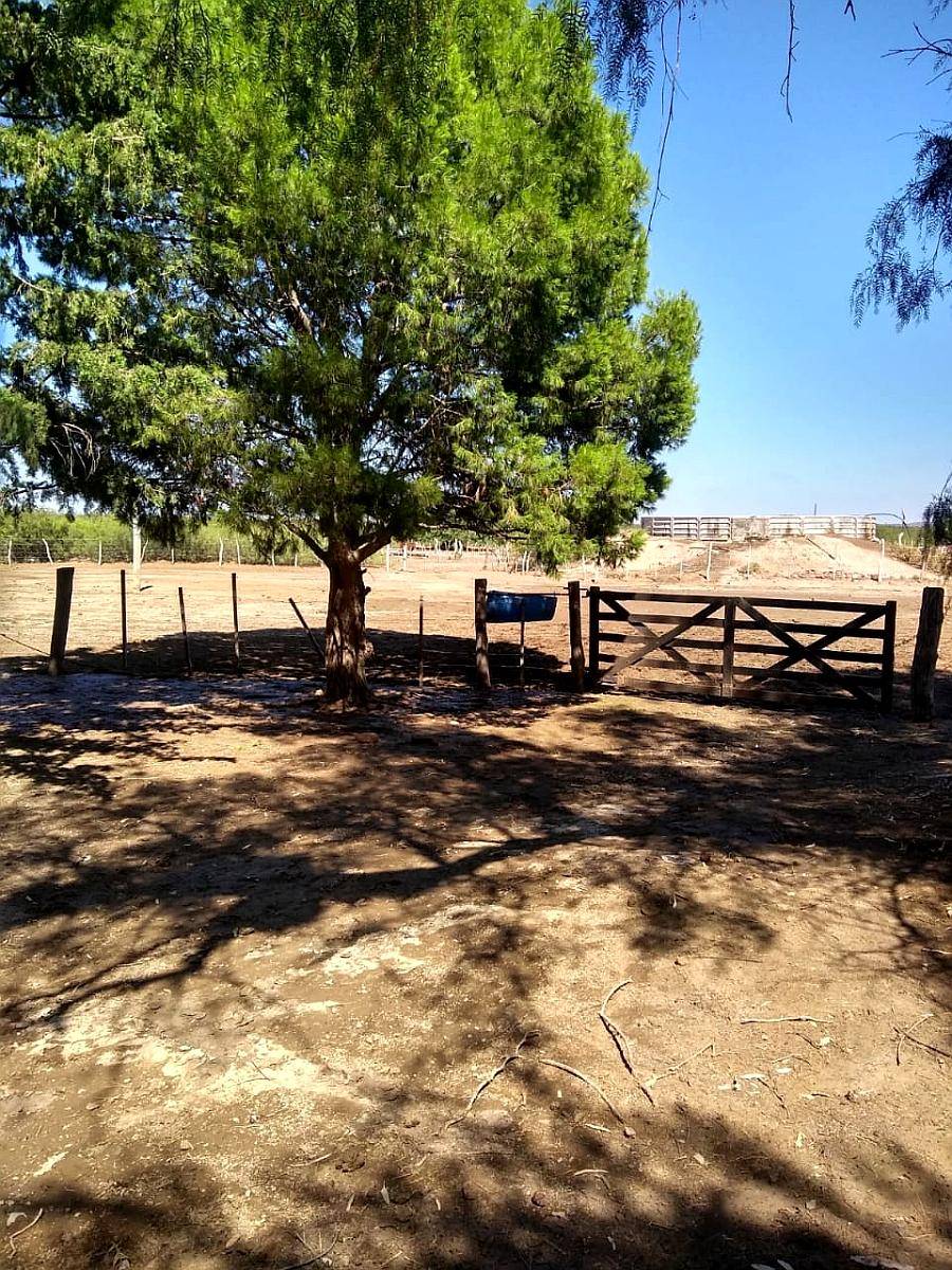 Campo Gandero 30.000 Hectareas,algarrobo del Aguila la Pampa