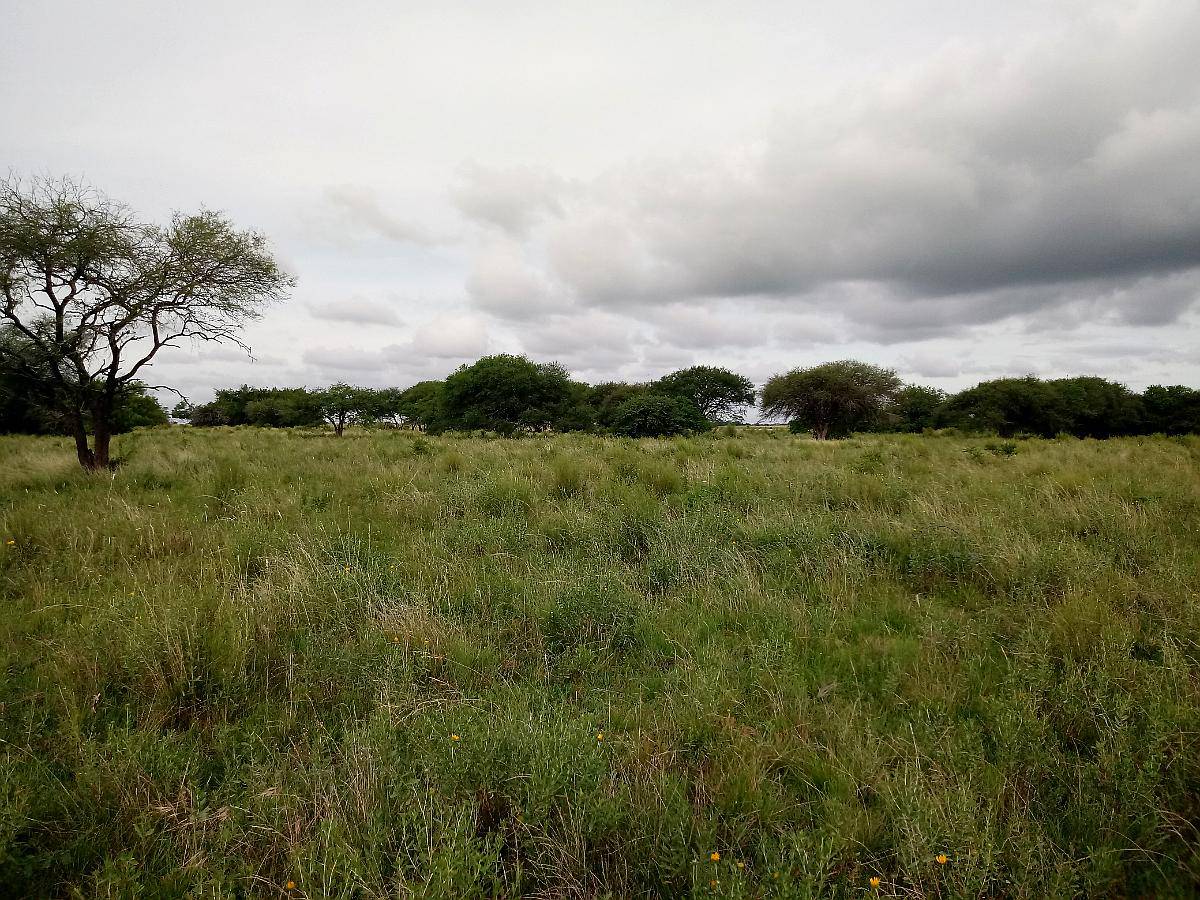Campo Agricola Ganadero Concepción del Uruguay