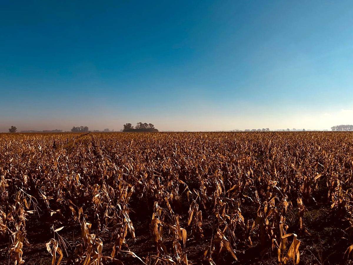 Luján, Buenos Aires - 57,6 Ha