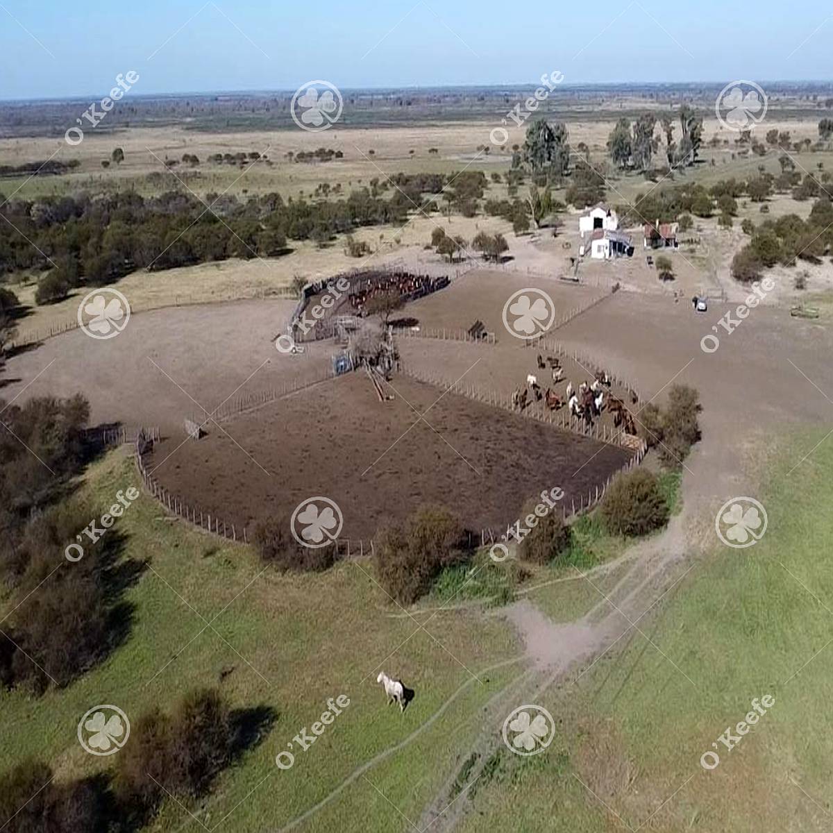 Campo en Venta de 13.747 Has. Ibicuy, Entre Rios