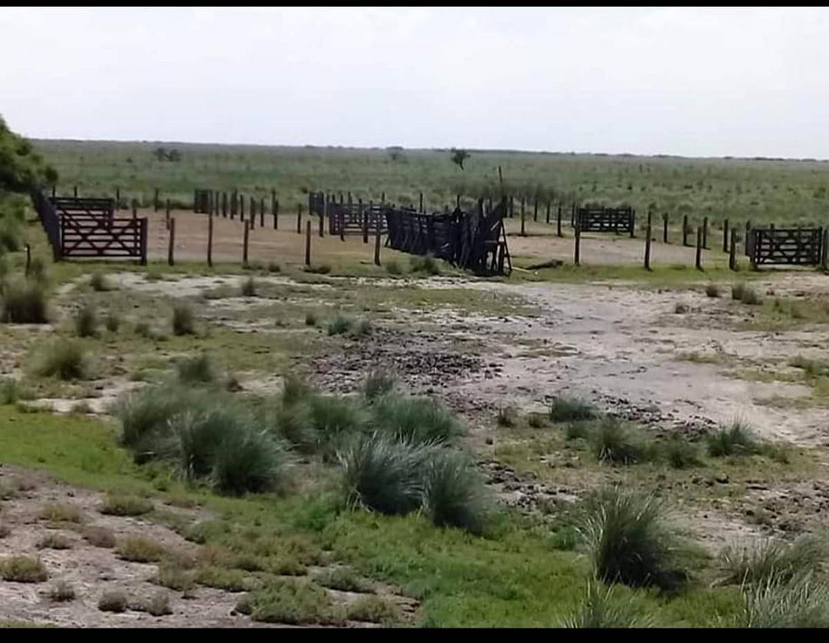 Se Vende Y/O Alquila Campo en Provincia de Santa FÉ